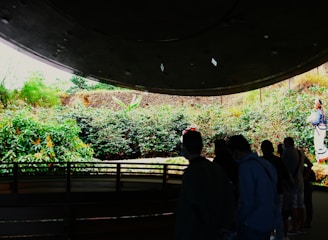Several people stand indoors observing a large, curved digital screen displaying a vivid outdoor landscape with greenery and a person in traditional attire. The interior is dimly lit, contrasting with the bright scene outside.