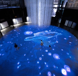An immersive digital art installation features an illuminated floor with aquatic imagery, including a large digital representation of a marine animal. Several people are interacting with the space, walking on the projection. Above, a cascade of lights or thin strands descends from the ceiling, creating a sense of depth and fluidity in the ambient lighting.